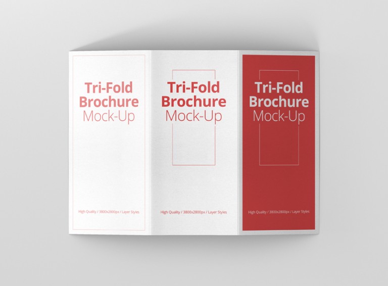DL TriFold Brochure Mockup Premium and Free Mockups for