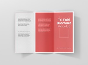 10_trifold_brochure_open_top
